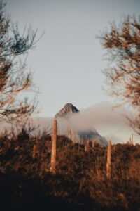 a view of a mountain through the trees